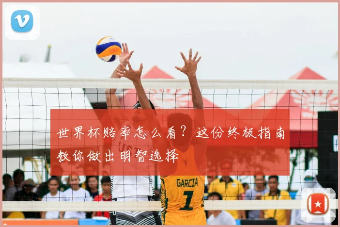 世界杯赔率怎么看?这份终极指南教你做出明智选择